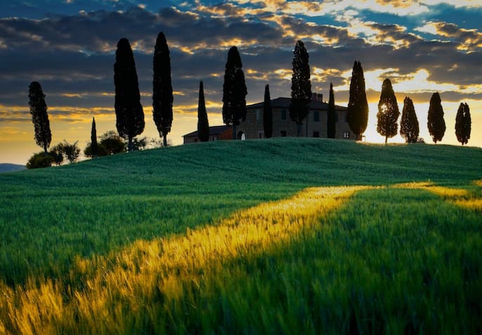  Tuscany countryside with green hills and tall trees at sunset for a slow living wellness retreat.
