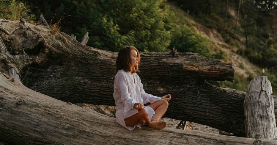 Nature therapy and ecotherapy for holistic healing